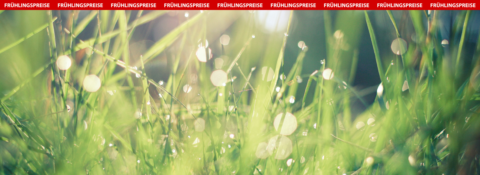 Frühling Hintergrund leer